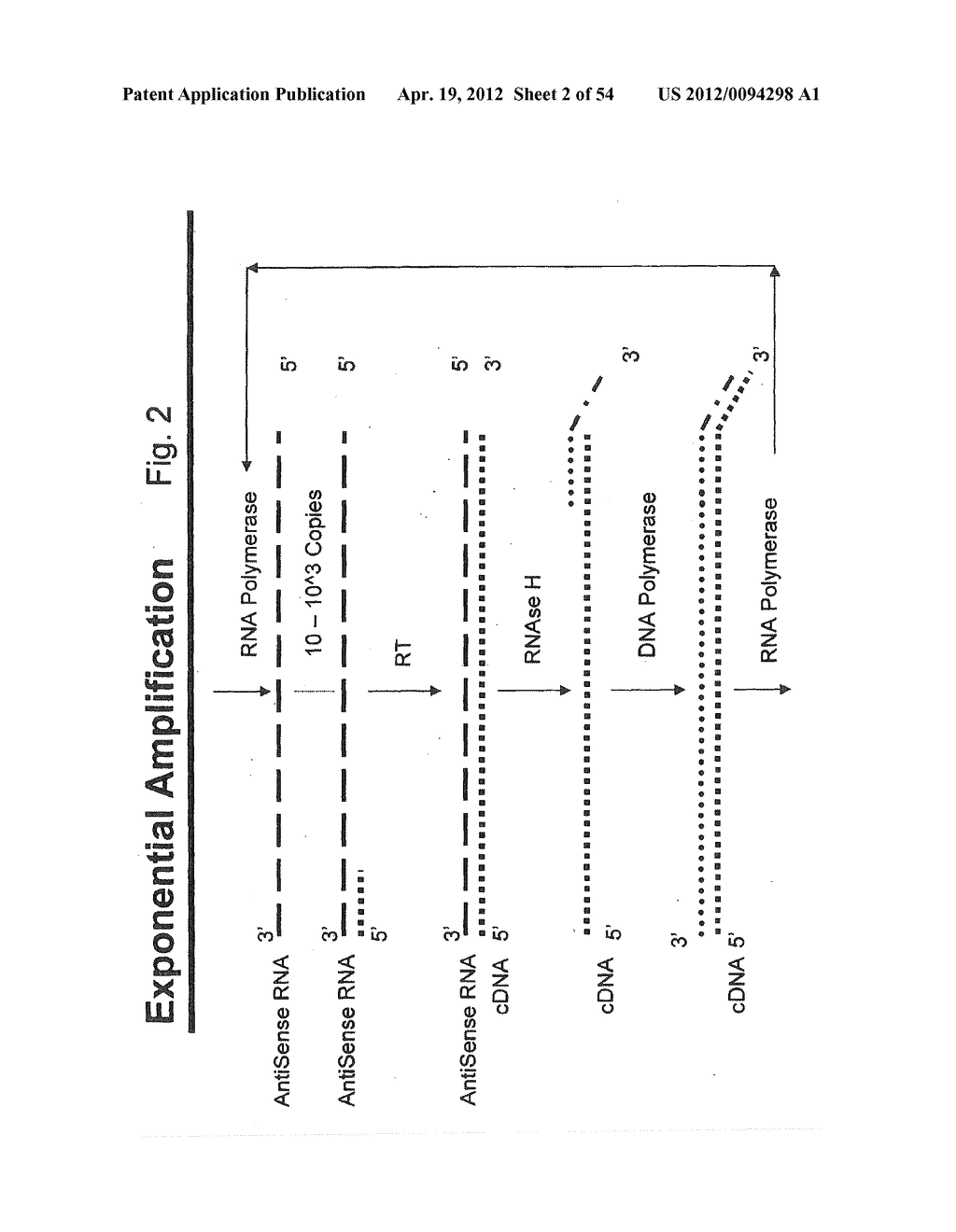 NUCLEIC ACID AMPLIFICATION WITH INTEGRATED MULTIPLEX DETECTION - diagram, schematic, and image 03