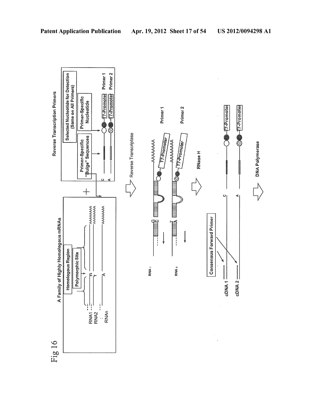 NUCLEIC ACID AMPLIFICATION WITH INTEGRATED MULTIPLEX DETECTION - diagram, schematic, and image 18