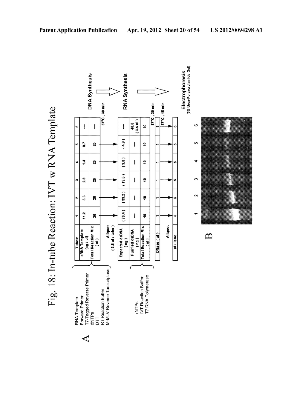 NUCLEIC ACID AMPLIFICATION WITH INTEGRATED MULTIPLEX DETECTION - diagram, schematic, and image 21