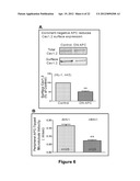 Bin1 as a Prognostic Marker in Cardiovascular Disease diagram and image