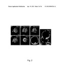 IMAGING AND EVALUATING EMBRYOS, OOCYTES, AND STEM CELLS diagram and image