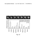 IMAGING AND EVALUATING EMBRYOS, OOCYTES, AND STEM CELLS diagram and image