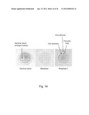 IMAGING AND EVALUATING EMBRYOS, OOCYTES, AND STEM CELLS diagram and image