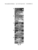 IMAGING AND EVALUATING EMBRYOS, OOCYTES, AND STEM CELLS diagram and image