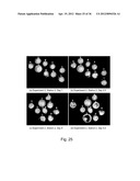 IMAGING AND EVALUATING EMBRYOS, OOCYTES, AND STEM CELLS diagram and image