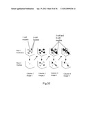 IMAGING AND EVALUATING EMBRYOS, OOCYTES, AND STEM CELLS diagram and image