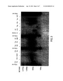 DNA POLYMERASES AND MUTANTS THEREOF diagram and image