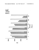 DNA POLYMERASES AND MUTANTS THEREOF diagram and image