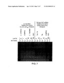 DNA POLYMERASES AND MUTANTS THEREOF diagram and image