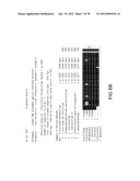 Gene Knockout Mesophilic and Thermophilic Organisms, and Methods of Use     Thereof diagram and image