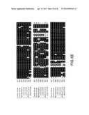 Gene Knockout Mesophilic and Thermophilic Organisms, and Methods of Use     Thereof diagram and image