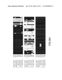 Gene Knockout Mesophilic and Thermophilic Organisms, and Methods of Use     Thereof diagram and image