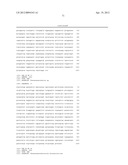 Gene Knockout Mesophilic and Thermophilic Organisms, and Methods of Use     Thereof diagram and image