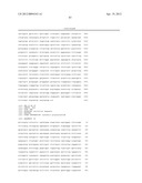 Gene Knockout Mesophilic and Thermophilic Organisms, and Methods of Use     Thereof diagram and image