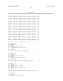 Gene Knockout Mesophilic and Thermophilic Organisms, and Methods of Use     Thereof diagram and image