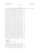 Gene Knockout Mesophilic and Thermophilic Organisms, and Methods of Use     Thereof diagram and image