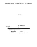 Gene Knockout Mesophilic and Thermophilic Organisms, and Methods of Use     Thereof diagram and image