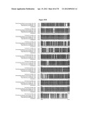 Gene Knockout Mesophilic and Thermophilic Organisms, and Methods of Use     Thereof diagram and image