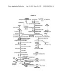 Gene Knockout Mesophilic and Thermophilic Organisms, and Methods of Use     Thereof diagram and image