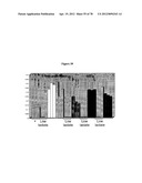 Gene Knockout Mesophilic and Thermophilic Organisms, and Methods of Use     Thereof diagram and image