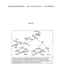 Gene Knockout Mesophilic and Thermophilic Organisms, and Methods of Use     Thereof diagram and image