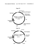 Gene Knockout Mesophilic and Thermophilic Organisms, and Methods of Use     Thereof diagram and image