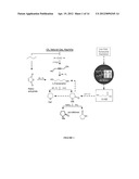 COMPOSITIONS AND METHODS FOR THE BIOSYNTHESIS OF 1,4-BUTANEDIOL AND ITS     PRECURSORS diagram and image