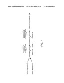 COMPOSITIONS AND METHODS FOR THE BIOSYNTHESIS OF 1,4-BUTANEDIOL AND ITS     PRECURSORS diagram and image