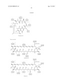 PROCESSING BIOMASS diagram and image