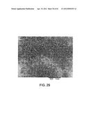 PROCESSING BIOMASS diagram and image