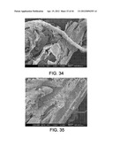 PROCESSING BIOMASS diagram and image