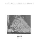 PROCESSING BIOMASS diagram and image