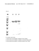 IN VIVO HALF LIFE INCREASED FUSION PROTEIN OR PEPTIDE MAINTAINED BY     SUSTAINED IN VIVO RELEASE, AND METHOD FOR INCREASNG IN VIVO HALF-LIFE     USING SAME diagram and image