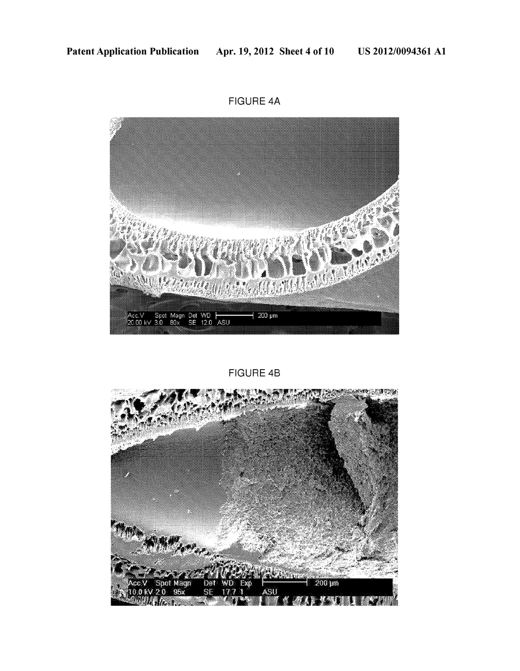 Method of Separation of Algal Biomass from Aqueous or Marine Culture - diagram, schematic, and image 05