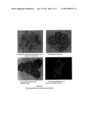 Ex Vivo Cell Culture:  Enabling Process and Devices diagram and image