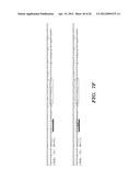 ENHANCED ENGINEERED NATIVE PROMOTERS AND USES THEREOF diagram and image