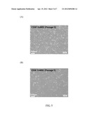 HUMAN MULTIPOTENT EMBRYONIC STEM CELL-LIKE PROGENITOR CELLS diagram and image