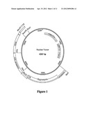 ENGINEERING SALT TOLERANCE IN PHOTOSYNTHETIC MICROORGANISMS diagram and image