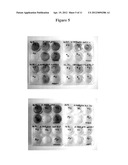 ENGINEERING SALT TOLERANCE IN PHOTOSYNTHETIC MICROORGANISMS diagram and image