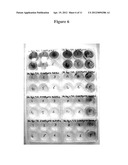 ENGINEERING SALT TOLERANCE IN PHOTOSYNTHETIC MICROORGANISMS diagram and image