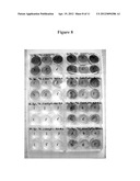 ENGINEERING SALT TOLERANCE IN PHOTOSYNTHETIC MICROORGANISMS diagram and image