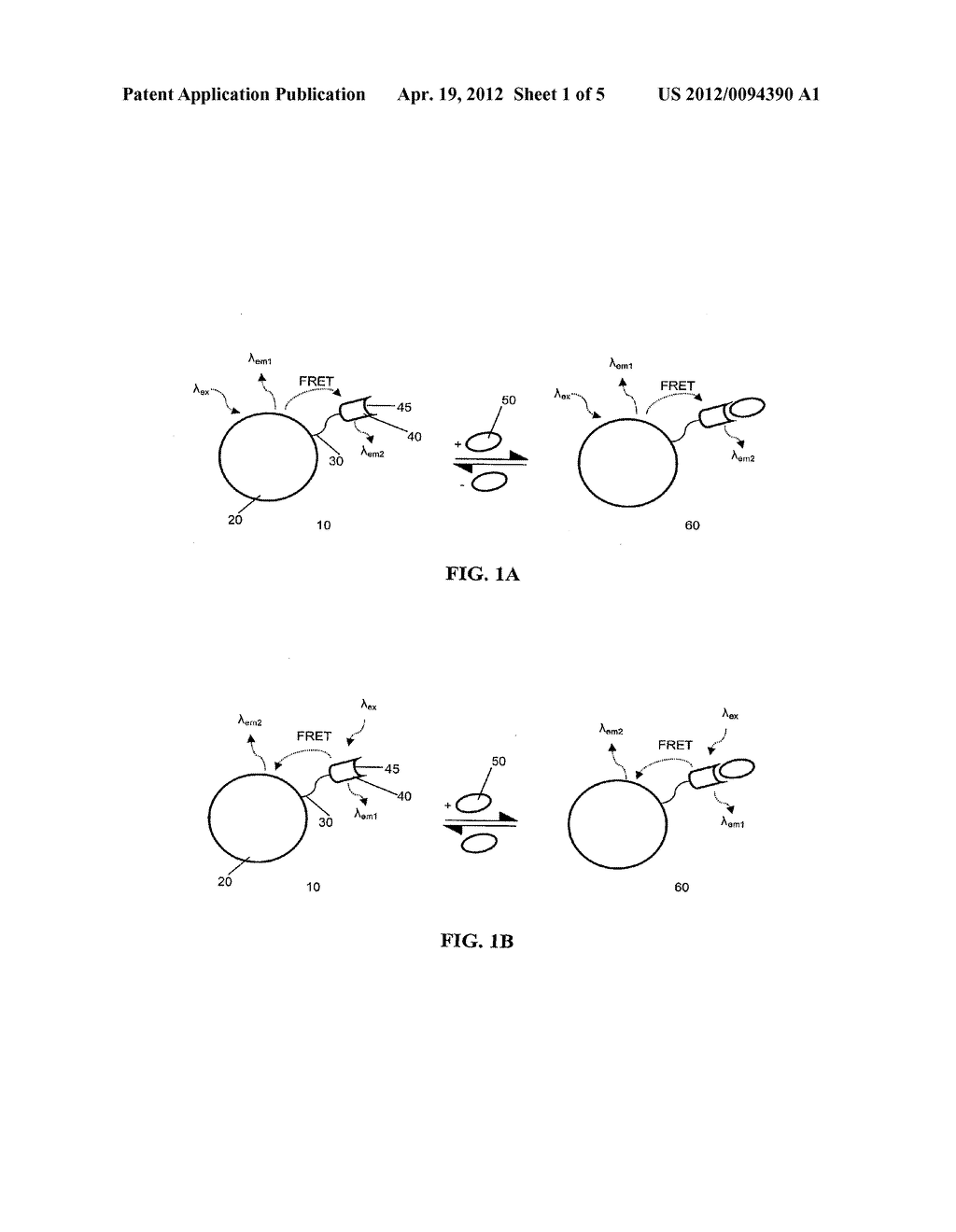 Fluorescent Sensor and Methods - diagram, schematic, and image 02