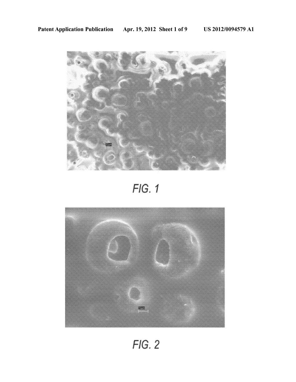 Coated Abrasive Products Containing Aggregates - diagram, schematic, and image 02