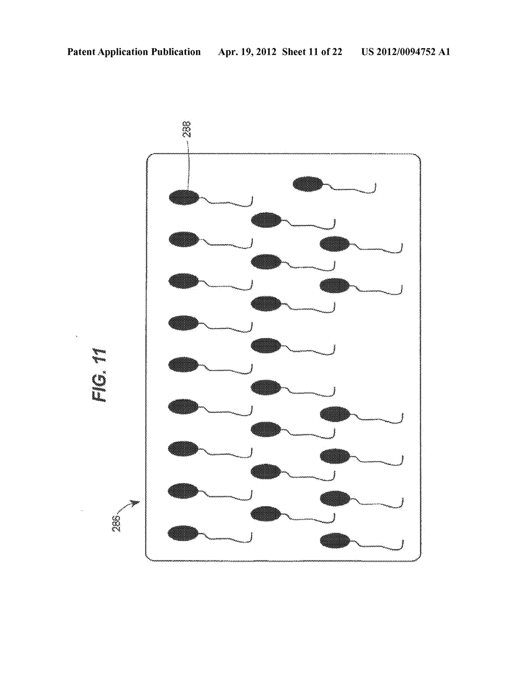 METHODS AND APPARATUS FOR A COMPETITIVE BONUS GAME WITH VARIABLE ODDS - diagram, schematic, and image 12