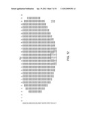 GOLF CLUB HAVING REMOVABLE SOLE WEIGHT USING CUSTOM AND INTERCHANGEABLE     PANELS diagram and image