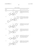 NOVEL HERBICIDES diagram and image