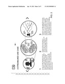 METHODS AND DEVICES FOR ASSESSING INFERTILITY AND/OR EGG QUALITY diagram and image