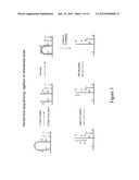 Method for pairwise sequencing of target polynucleotides diagram and image