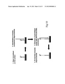 Method for pairwise sequencing of target polynucleotides diagram and image