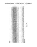 CLASS II HUMAN HISTONE DEACETYLASES, AND USES RELATED THERETO diagram and image